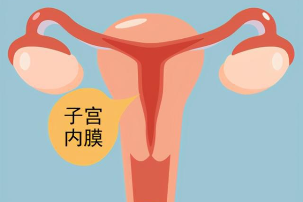 试管如何选性别_成都试管婴儿医院丨成都助孕机构丨成都三代试管婴儿