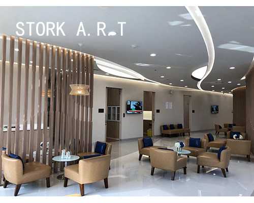 试管助孕机构费用与成功率解析：影响因素与选择指南