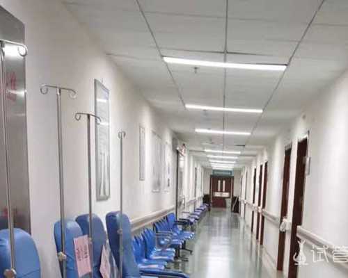 泰国三代试管助孕机构与流程分享，成功经验解析