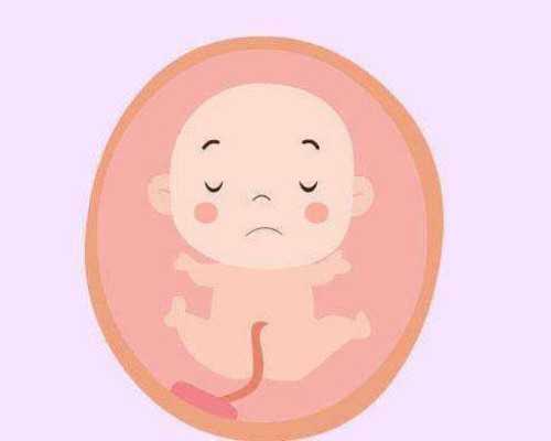 北京朝阳医院试管婴儿费用与成功率详解及代生代怀相关信息