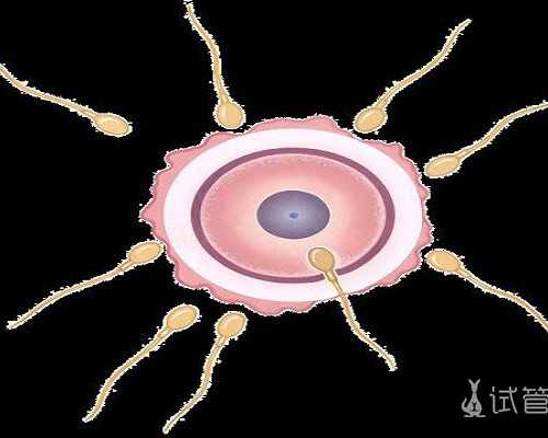 北京试管助孕费用解析与代生宝宝服务指南