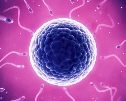 北京朝阳医院试管婴儿检查项目与成功率解析