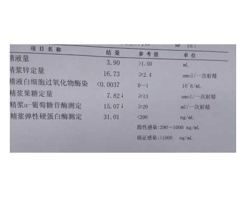 北京301医院试管助孕指南：代生与代怀服务解析