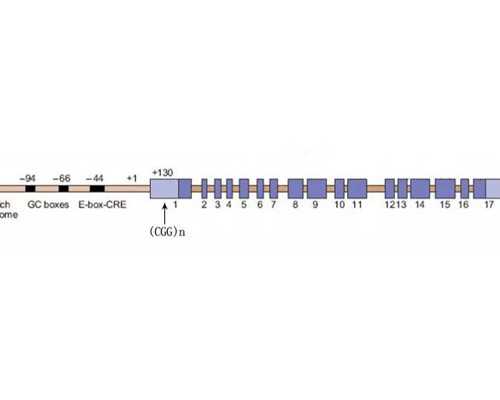 北京精子库捐献指南与代生助孕服务解析