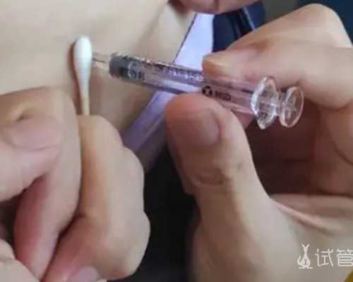 单身女性生子落户政策解析与辅助生育选择