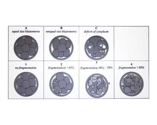 AMH值0.29还能通过试管婴儿助孕吗？备孕一年后的选择