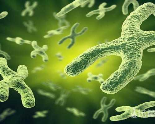 同性爱人代怀与助孕公司价格解析_正规试管生子机构指南