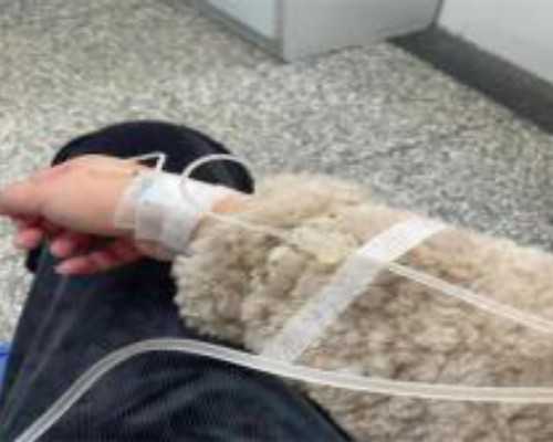 2024漯河不孕不育医院排名与生殖医学指南