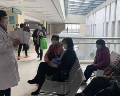 供卵自怀费用与试管婴儿成功率解析