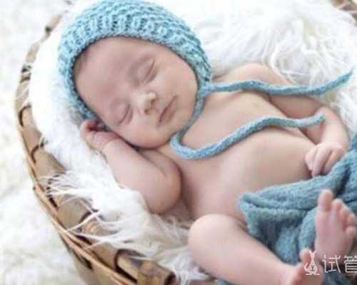 冷冻卵子与试管婴儿技术解析：助孕选择与费用考量