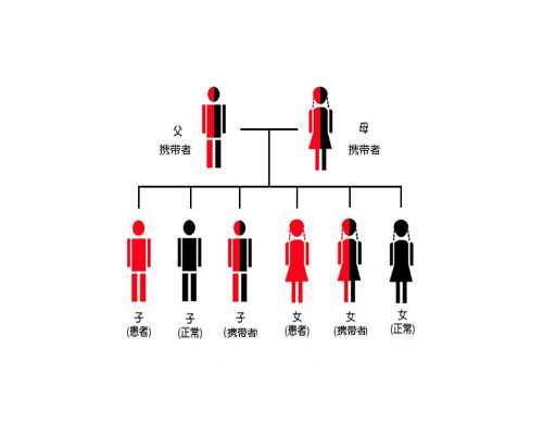 三代试管婴儿优势与生男孩指南