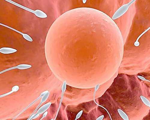 朝阳医院能否进行第三代试管婴儿及费用解析