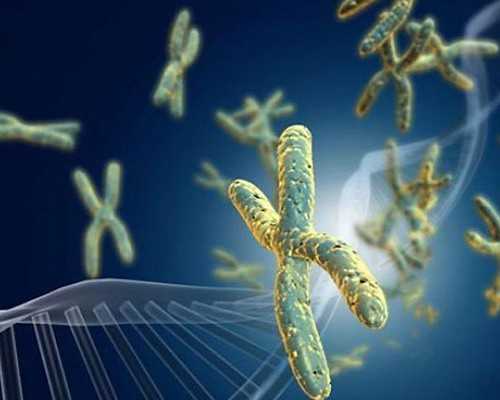 朝阳医院试管婴儿成功率和供卵流程详解