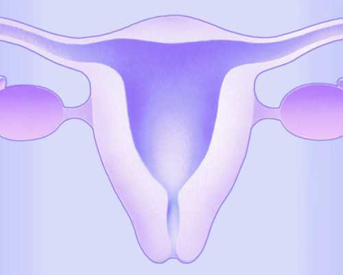 试管供卵双胞胎助孕价格与正规机构服务解析