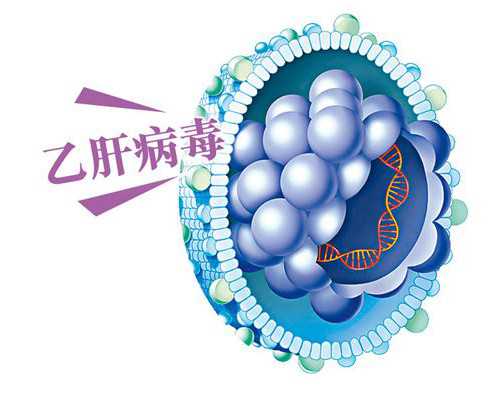 北京代生供卵平台|正规助孕公司价格与试管生子服务解析