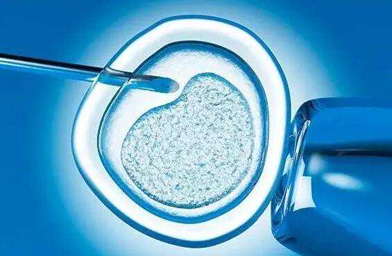 试管胚胎染色体异常是什么原因导致的